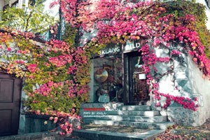 济南泉州击败沧州亚泰，提前取胜