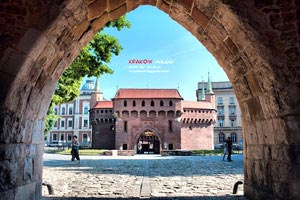 深圳雷曼遭逢四连败，积分榜下滑速度惊人