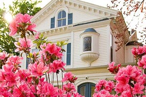 西布朗维奇战胜伯明翰，向冠军发起冲击