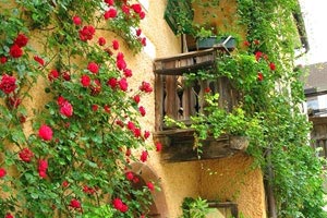 赛场上的精神力量让人们为之动容