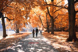 切尔西斩获胜利，前途一片光明